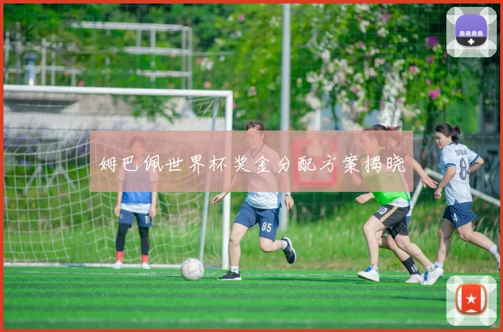 姆巴佩世界杯奖金分配方案揭晓
