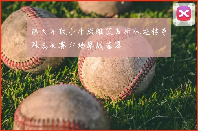 热火不敌小牛诺维茨基率队逆转夺冠总决赛六场鏖战落幕