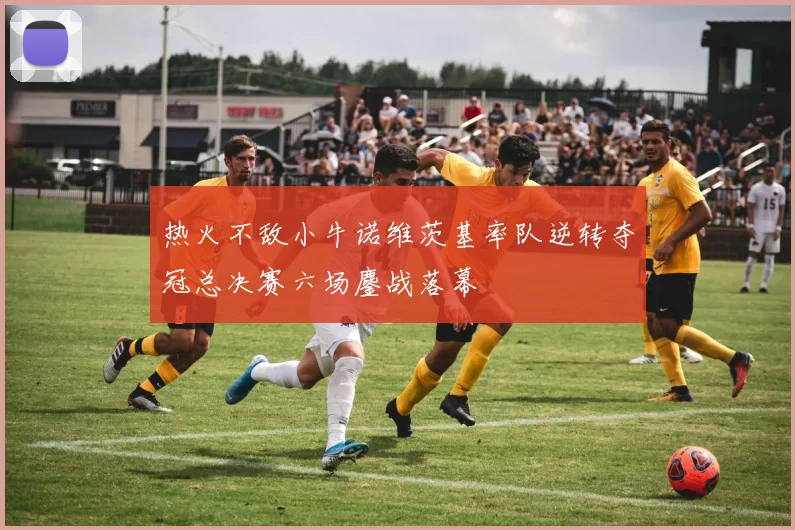 热火不敌小牛诺维茨基率队逆转夺冠总决赛六场鏖战落幕