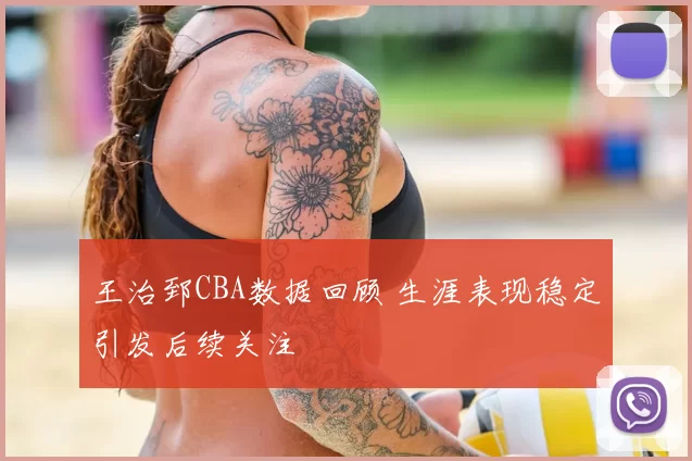 王治郅CBA数据回顾 生涯表现稳定引发后续关注