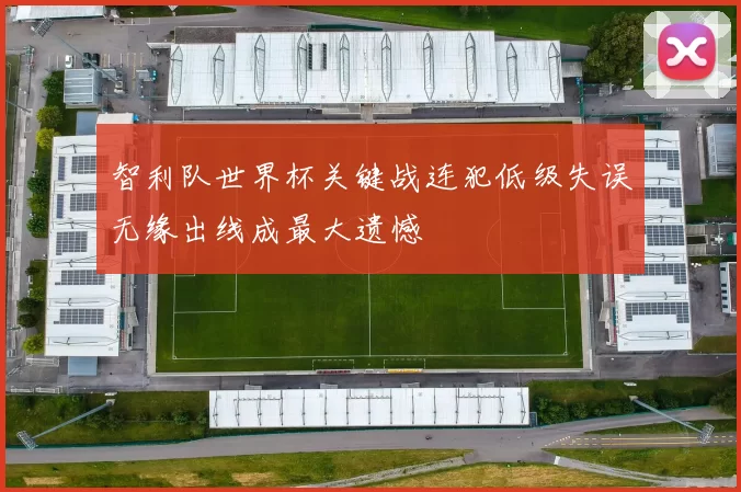 智利队世界杯关键战连犯低级失误无缘出线成最大遗憾