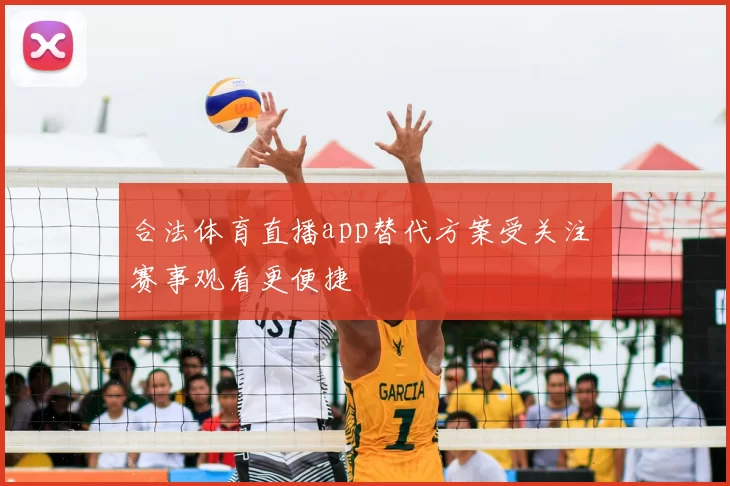 合法体育直播app替代方案受关注 赛事观看更便捷